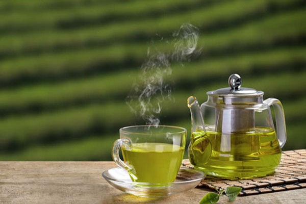 Một tách trà xanh 250ml đã pha thường chứa khoảng 50–100 mg EGCG