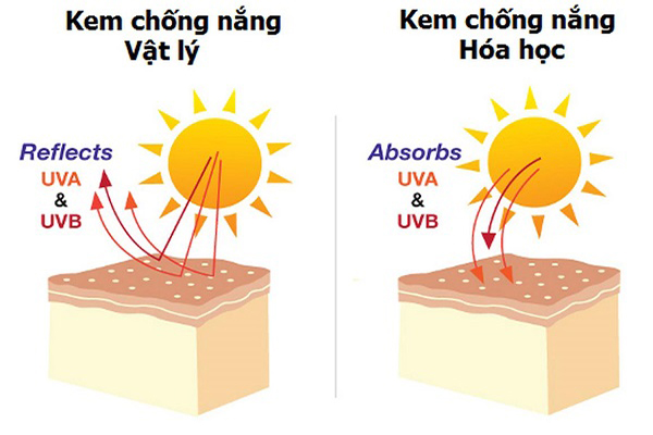 So sánh cơ chế hoạt động của kem chống nắng vật lý và hóa học